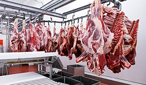 chilled processing plant room