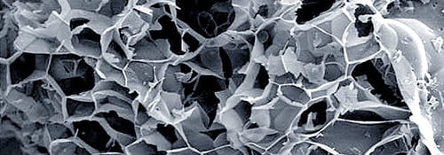 expanded perlite cutaway micrograph x100