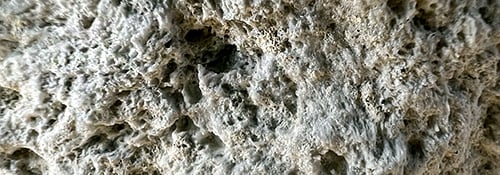 closeup of a natural pumice stone from the Hess deposit